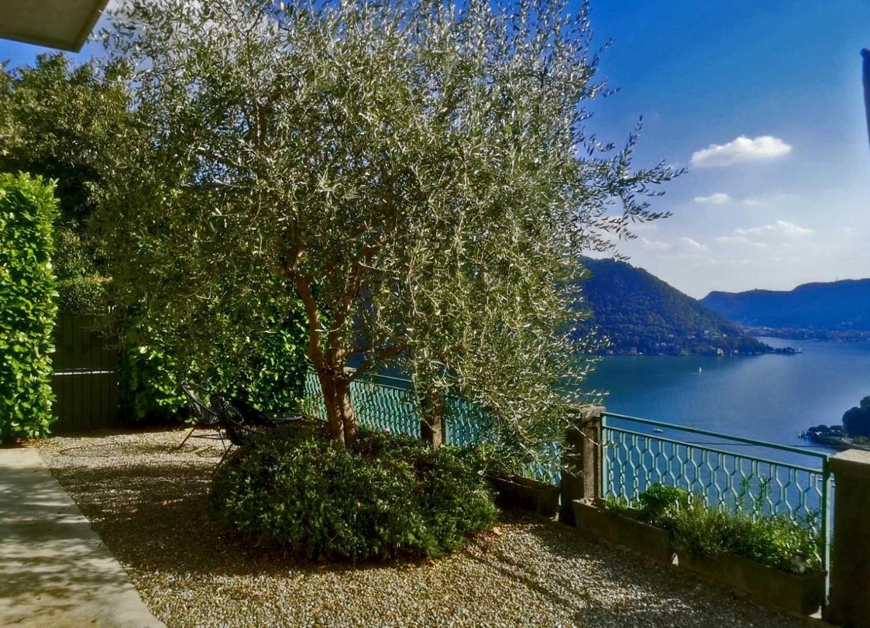 Como Lake Panorama Apartment Sveva เชอร์นอบบิโอ ภายนอก รูปภาพ