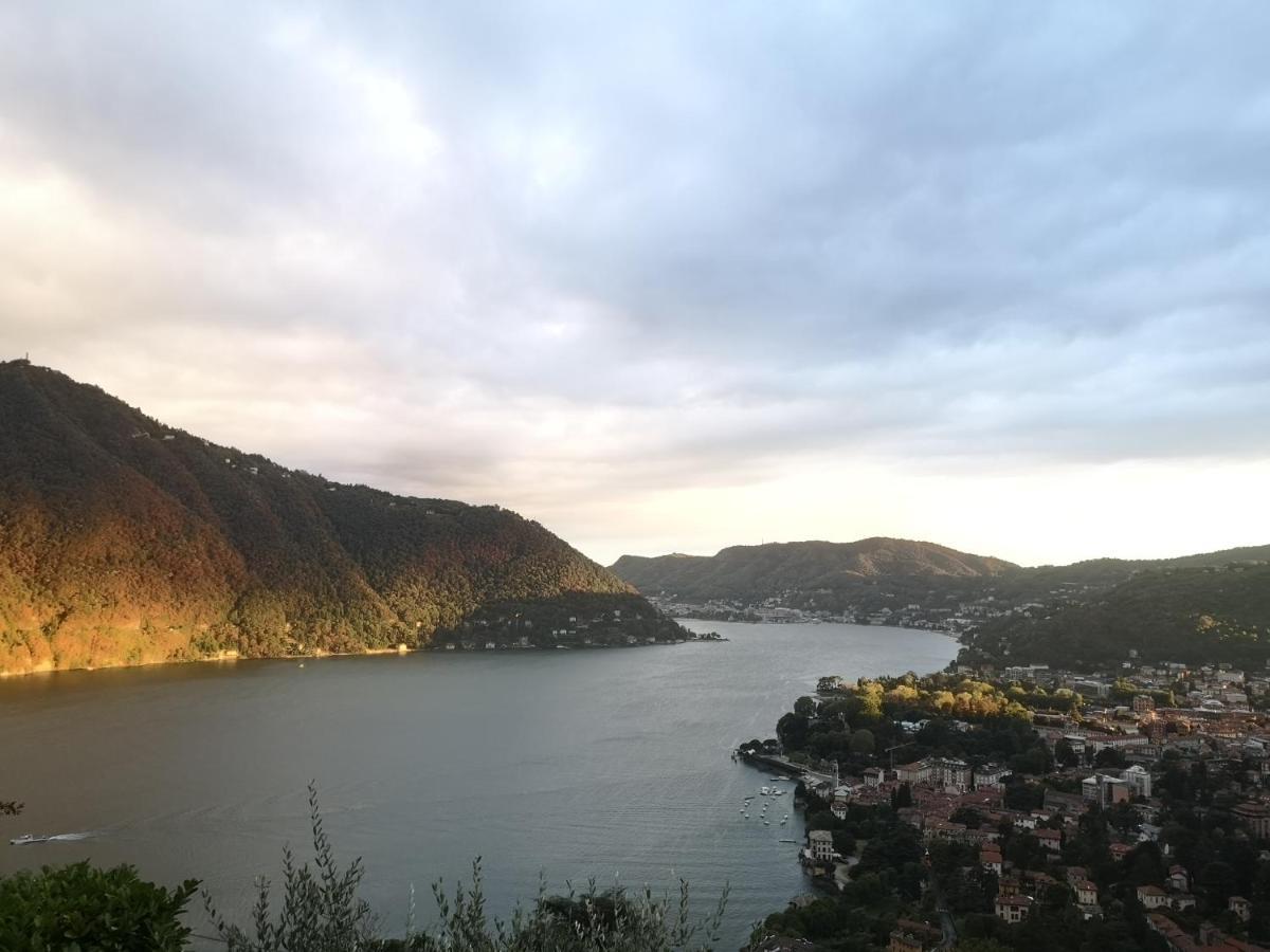 Como Lake Panorama Apartment Sveva เชอร์นอบบิโอ ภายนอก รูปภาพ